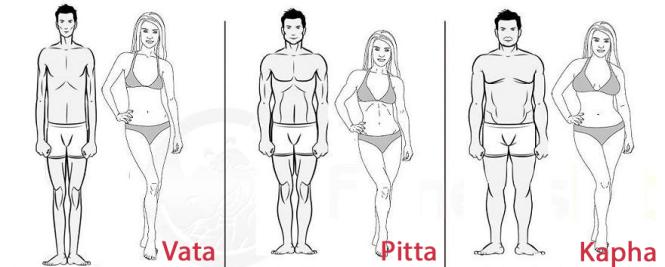 Three types of body according to Ayurveda