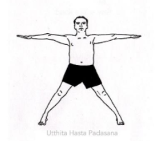 Nachalo lichnoy praktiki yogi Ayyengara doma