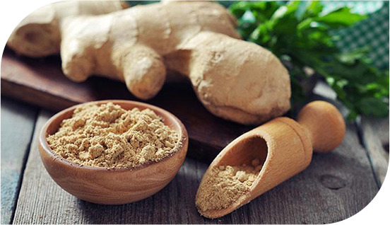 ginger Джинджифил