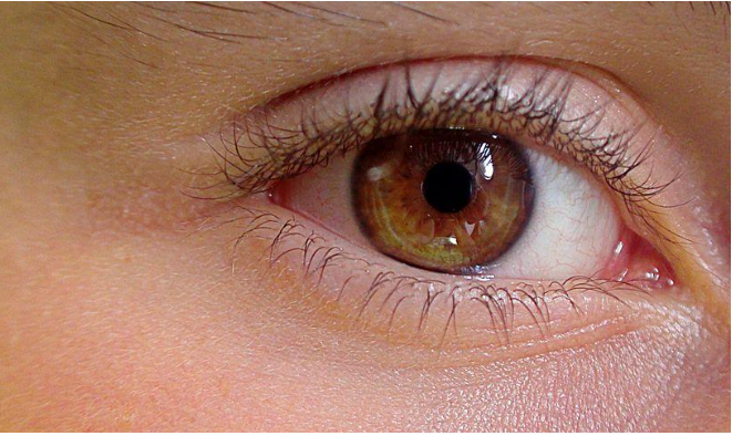 Защо заболяването глаукома е крадецът на зрение?