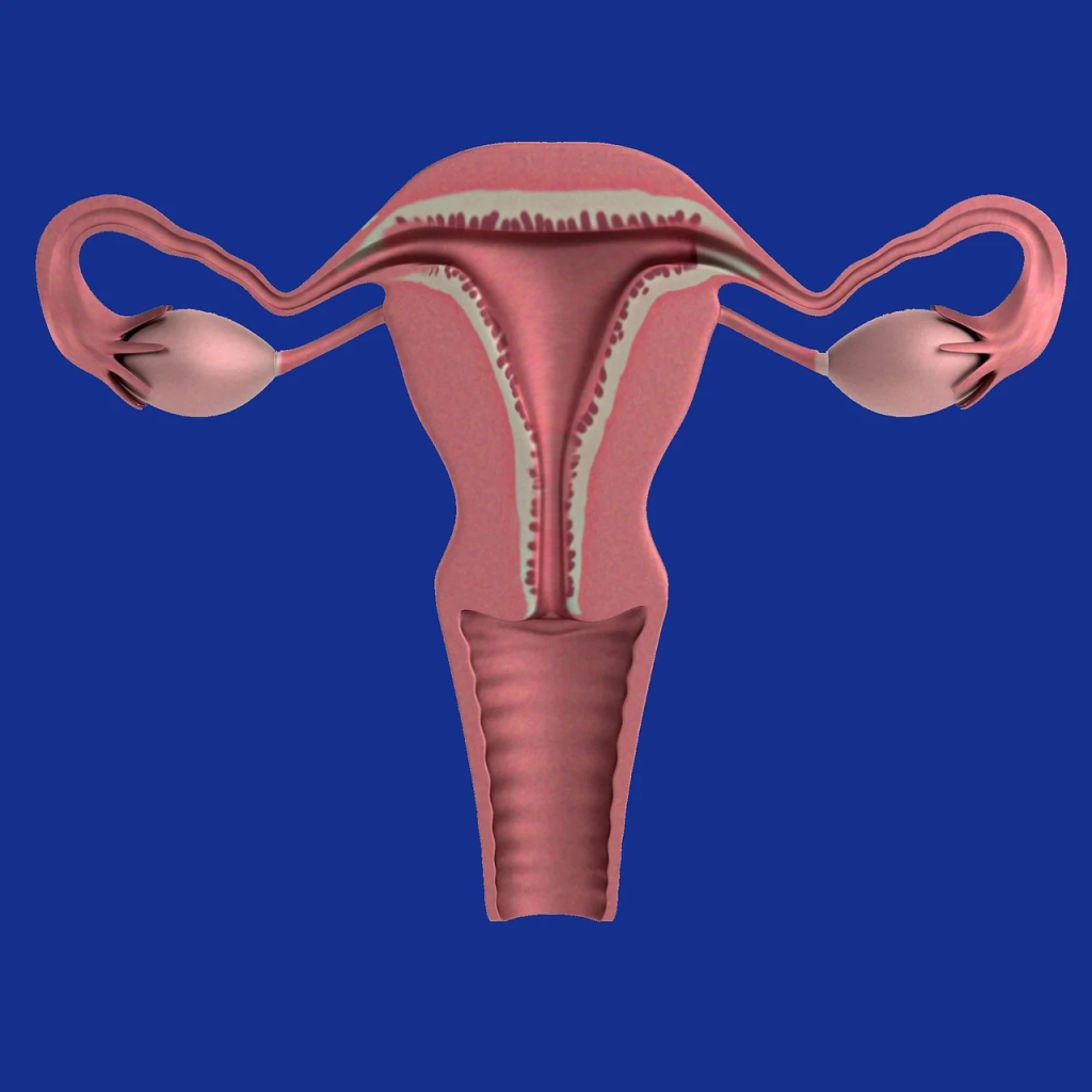 Техники и терапии за репродуктивно здраве в Аюрведа